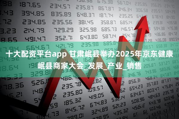 十大配资平台app 甘肃岷县举办2025年京东健康岷县商家大会_发展_产业_销售